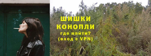ешки Алзамай