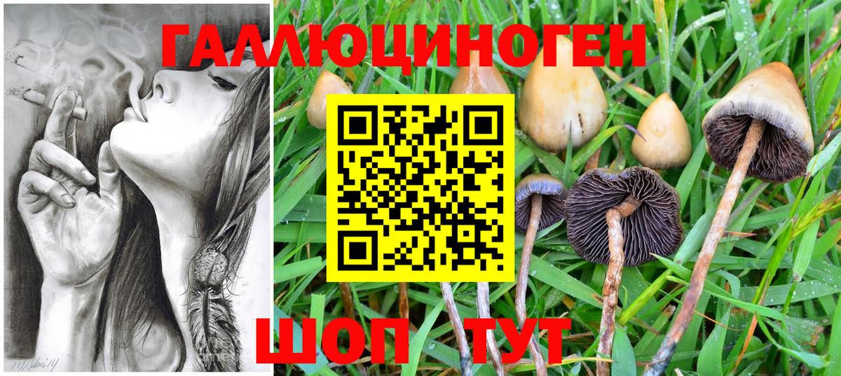 Чистополь  Галлюциногенные грибы Magic Shrooms  Галлюциногенные грибы GOLDEN TEACHER  Вход с VPN 